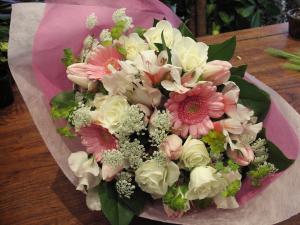 �ե��󥿥�����winter��spring)