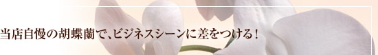 ��Ź�����θ�ĳ���ǡ��ӥ��ͥ�������˺���Ĥ��롪