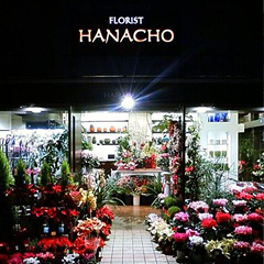 Ź�޳���